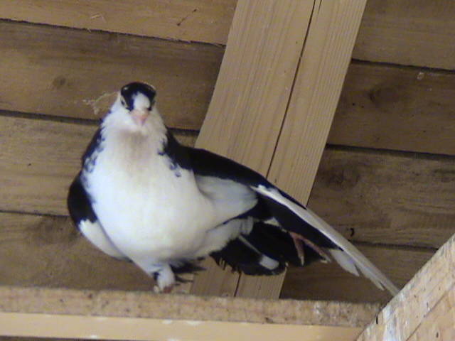 DSC01665