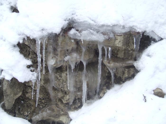 DSCF4610 - poiana zinelor