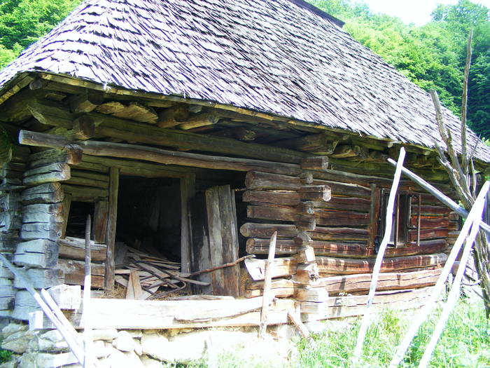 DSCF1074