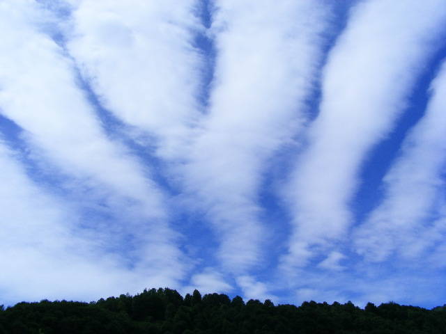 DSCF1423