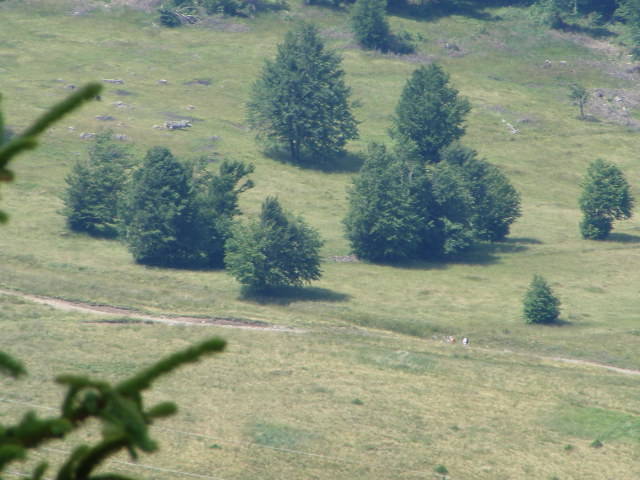 DSCF3183