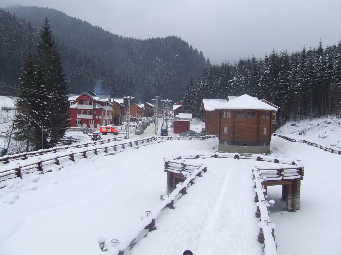 DSCF4745 - poiana zinelor