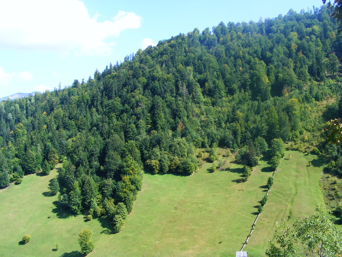 DSCF6338 - muntii Rodnei