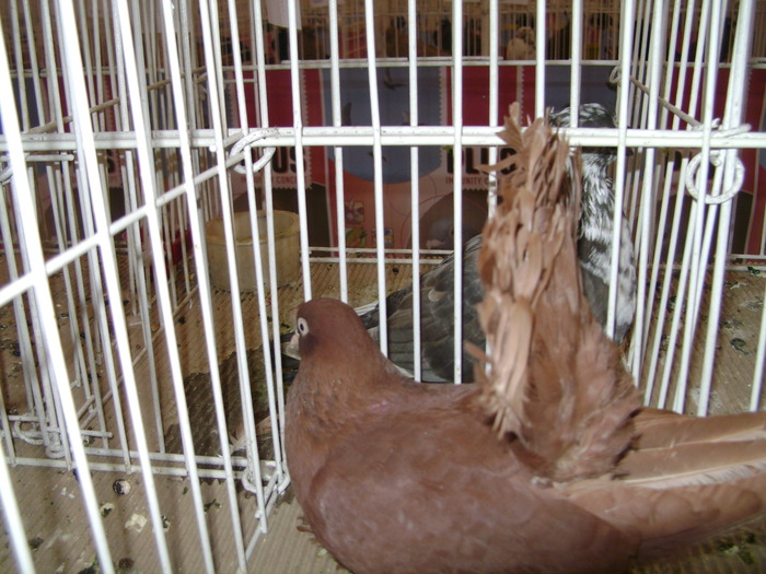 Picture 071