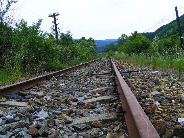 DSCF1427