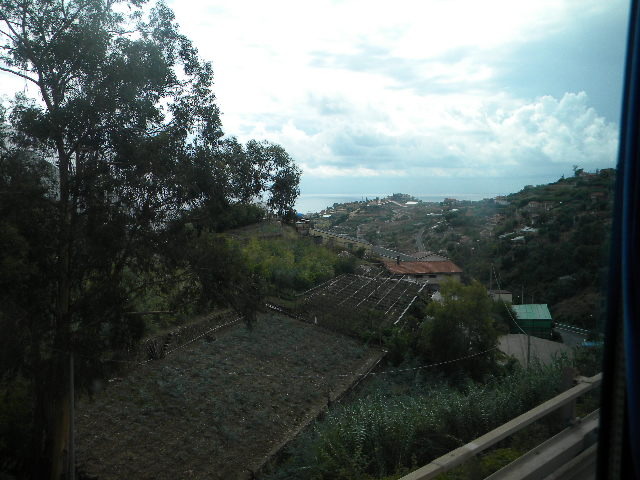 DSCN2465