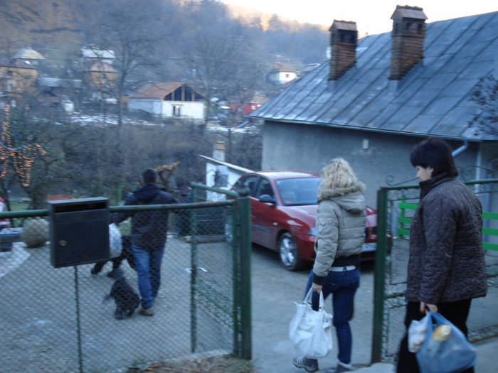 DSC05899 - 2010 REVELION SIBIU