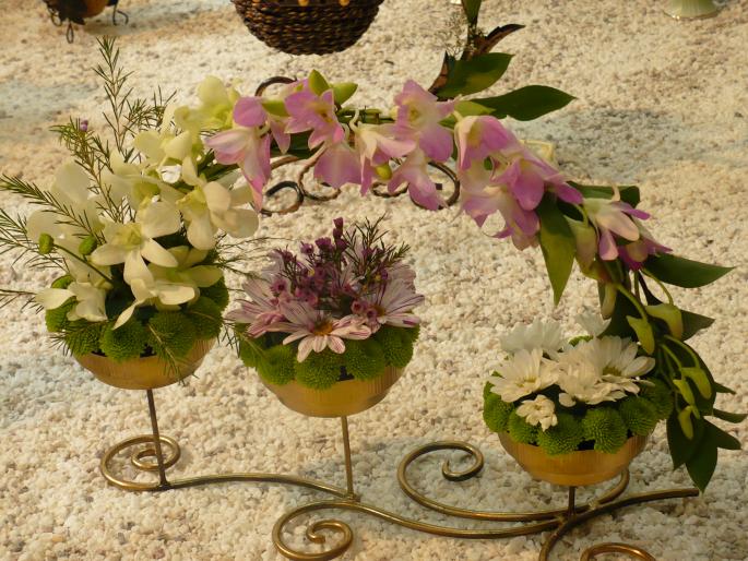 P1010466 - Pitesti 19 aprilie 2008 - II