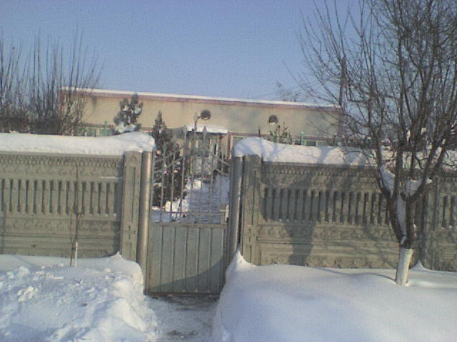DSC01263 - iarna in sat