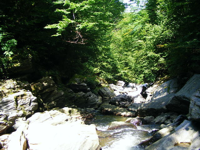 DSCF5229