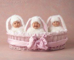 easter-baby-bunnies - bebelusi