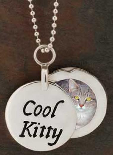 cool kitty