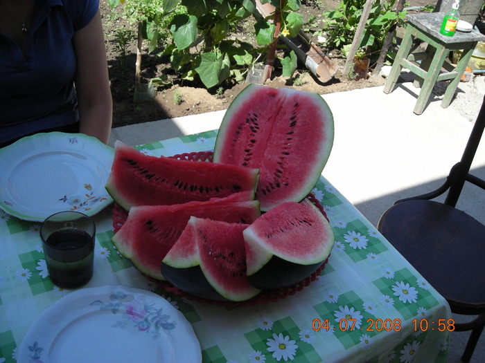 DSCN7280