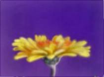 829145 - desene desenatori