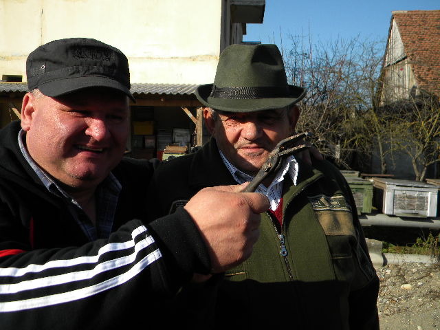 DSCN3680 - Rupea 22-11-2009