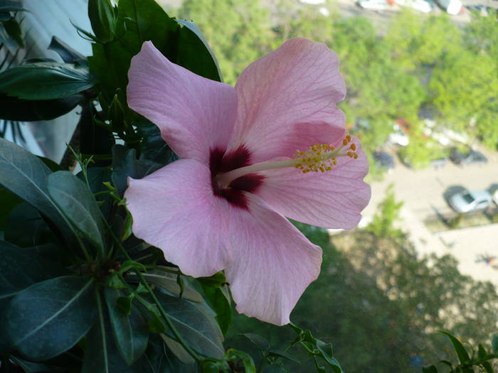 P1110438