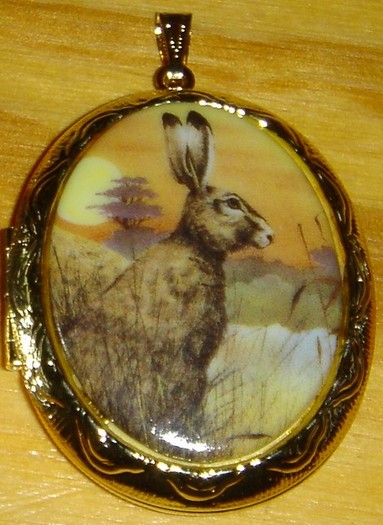 cameo_DesertRabbit-GoldLocket