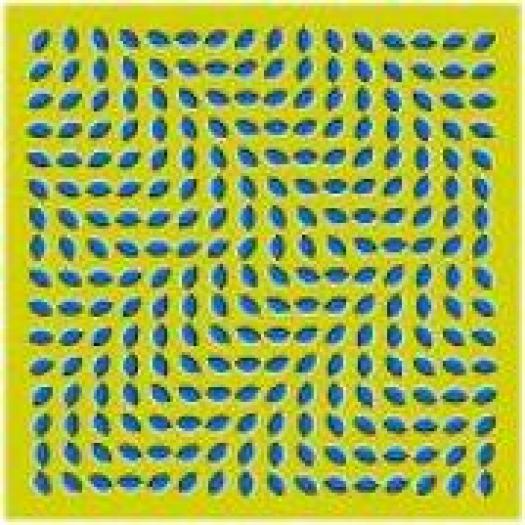 DISYVXOZKZFVTWTTAMN - alte iluzii optice