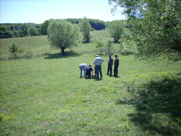 Talere 09.05.2009 001