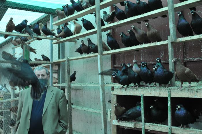 Picture 149 - jucatori de constanta