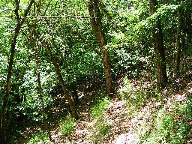 DSCF0566