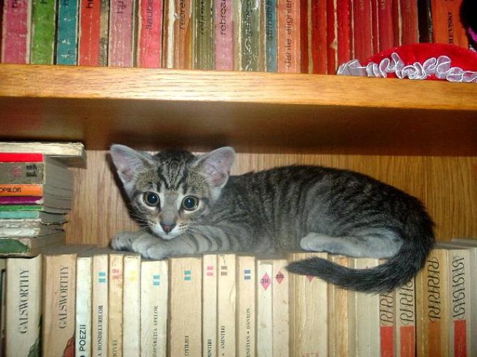 yj5SFH030102-02; Lexi cand era mic
