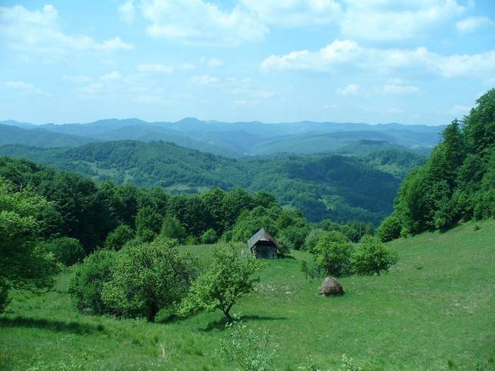 P1200008