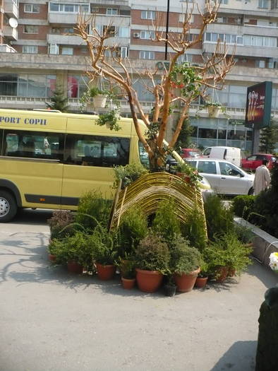 P1020450