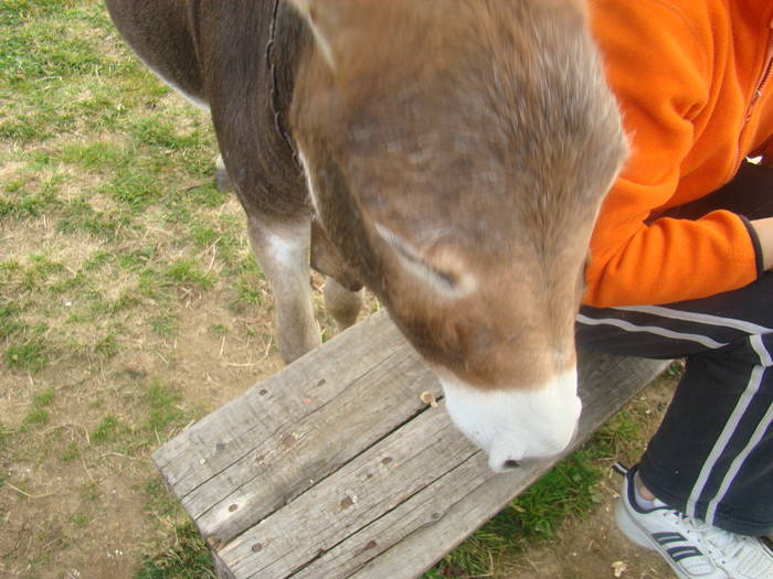 DSC00400