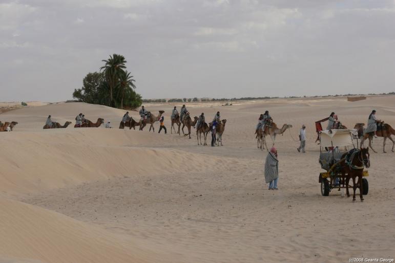 Tunisia_396