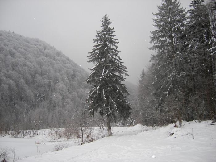 Simbata-Peisaj de iarna