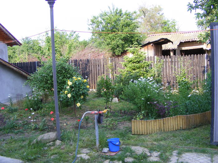 Colt gradina