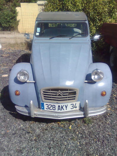 Imagine1407 - ApiMondia