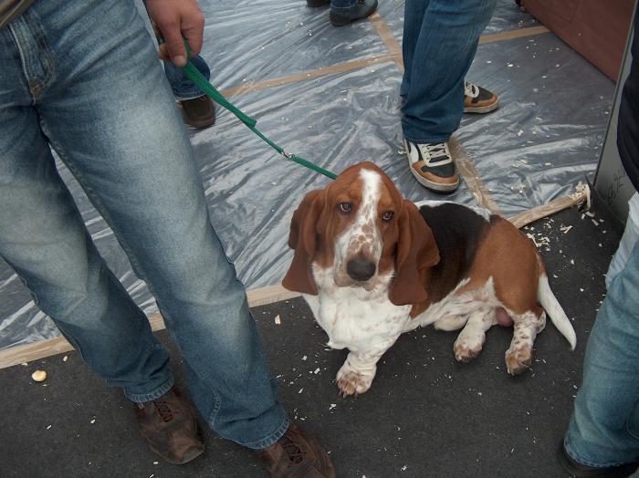 HPIM4665; parca mai avem niste emotii pentru ziua a doua
