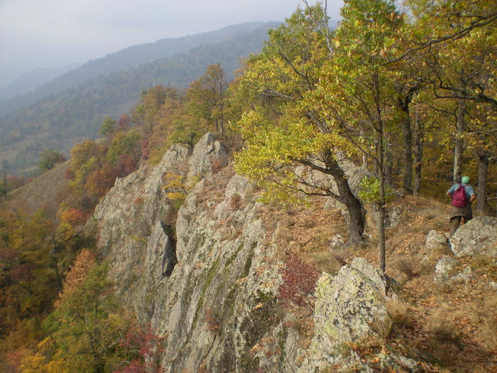 VALEA CALINESTI-PIETRELE ZMEILOR 11.10.2009 130 - VALEA CALINESTI-GROTA PIETRELE ZMEILOR