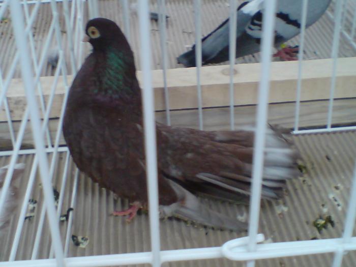 DSC00949