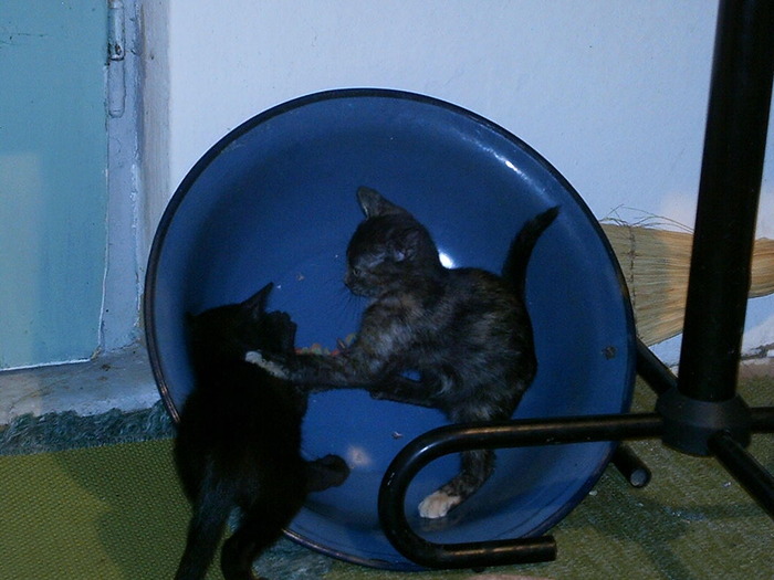 IMAG0024