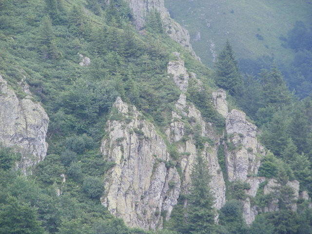 DSCF3066
