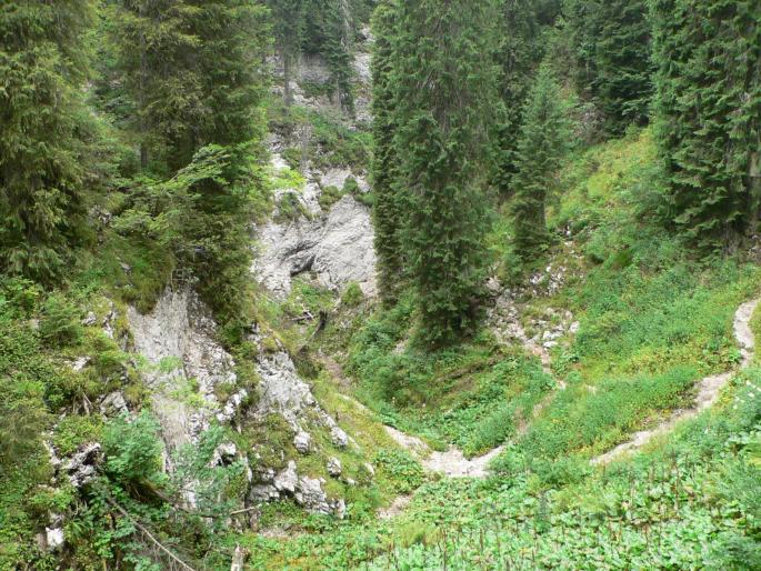 P100060