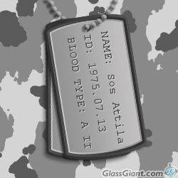 dogtags - Capa