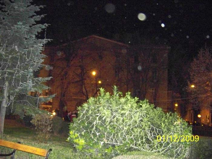 100_6101 - 1 Decembrie Timisoara