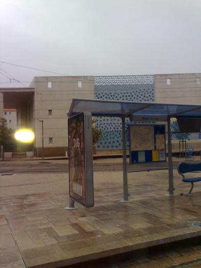 ne intoarcem pe esplanadan EU - ApiMondia