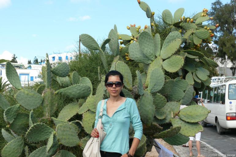 Tunisia_719 - Tunisia