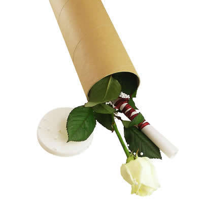 PDQFLUMBLWUJAGVUHFW - Flori