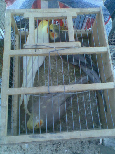 Image004 - Expo CLUJ 25_10_2009