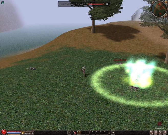 0721_221811 - Metin2