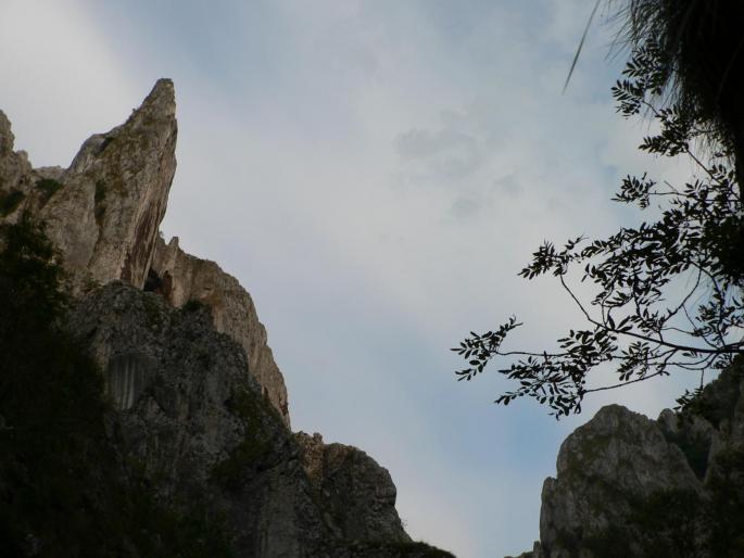 P100087