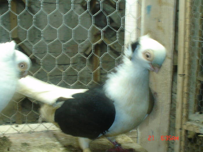 DSC02846