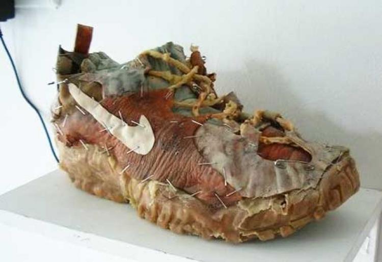 Shoe_nike_flesh_(530nextnat[1]