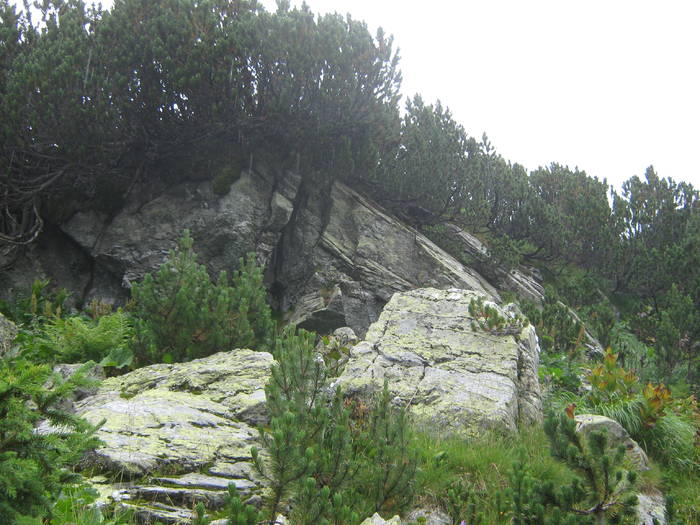 LACUL CALCESCU 09.08.2009 238